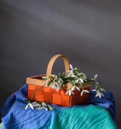 A vibrant basket filled with beautiful blooms snowdrops, perfect for joyful spring celebrations. Snowdrops.の写真素材