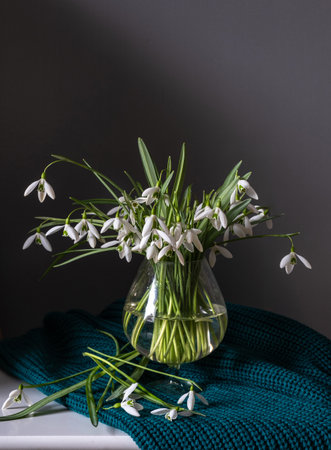 A stunning and beautiful arrangement of delicate snowdrop flowers in an elegant vase, enhanced by vibrant textilesの写真素材