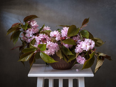 This is a beautiful spring flower arrangement featuring a bouquet of cherry blossoms in a clay vase.の写真素材