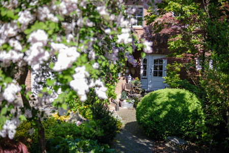 A beautiful and vibrant garden scene that features a variety of blooming flowers and finely manicured hedgesの写真素材