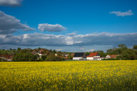 Vibrant yellow fields stand out starkly against dynamic clouds in a truly stunning and breathtaking landscapeの写真素材