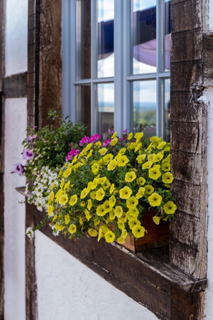 Vibrant flower boxes filled with blooms enhance outdoor beauty, creating a charming and inviting atmosphereの写真素材