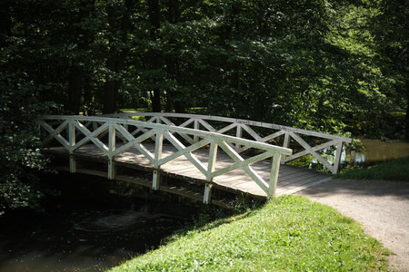 A Beautifully Charming Wooden Bridge Nestled Within an Exquisite Landscape of Lush Greeneryの写真素材
