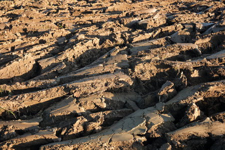 Close-up of clods, freshly plowed field. Modern farming and irrigation business concept.Fresh arable land after the tractor before sowingの写真素材