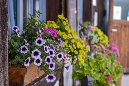 Vibrant flower boxes filled with blooms enhance outdoor beauty, creating a charming and inviting atmosphereの写真素材