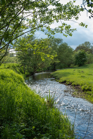 A serene and tranquil river scene beautifully adorned with vibrant green grass and trees beneath a cloudy skyの写真素材