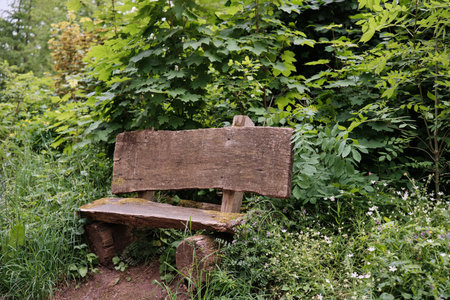 A peaceful, serene wooden bench nestled among vibrant, lush foliage, ideal for relaxation and nature enthusiastsの写真素材