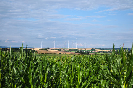 Green cornfield and wind power turbine against a blue sky with white clouds. Renewable energy source. Powerful and ecological energy conceptの写真素材