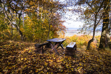There is a peaceful picnic table nestled in a serene setting, surrounded by vibrant autumn foliage and a majestic treeの写真素材