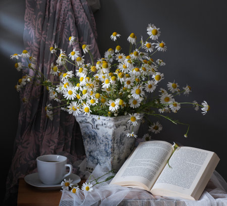A cheerful collection of daisies in a vintage jug, with an open book, creating a charming sceneの写真素材