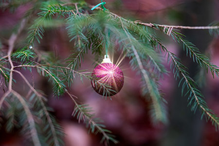 textured pine needles with glass ornaments in soft focus, rustic winter scene with decorated pine branch and glass ornamentsの写真素材