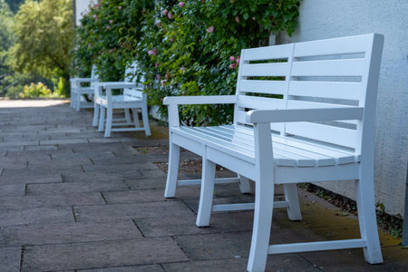 White wooden benches lined along the pathway, sunlit stone pavement with soft shadows, climbing ivy on stuccoの写真素材