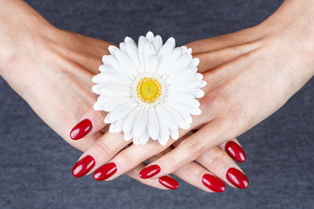 Beauty hands with red fashion manicure and bright flower. Beautiful manicured red polish on nails.の写真素材