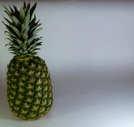 Isolated of pineapple fruit sliced on white background
