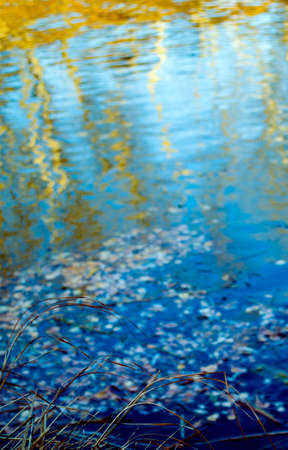 River, river Ishim, landscape, the landscape of Kazakhstan.の写真素材