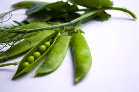 Fresh green pea pods with foliage on a white background. One pod is open, peas are visible.の写真素材