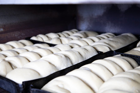 The dough laid for the bread is suitable and ready for baking.