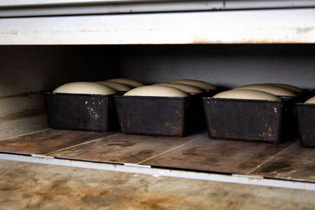 The dough laid for the bread is suitable and ready for baking.の写真素材