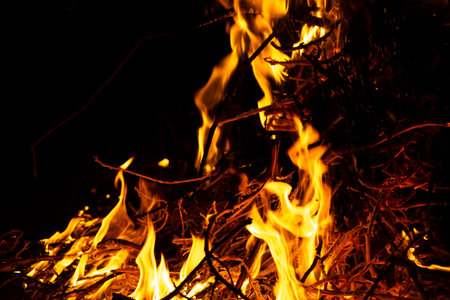 Bonfire in the spring time burning garbage, fire danger.