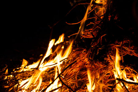 Bonfire in the spring time burning garbage, fire danger.