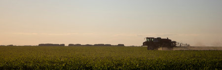 Special equipment treats the fields from pests and weeds.