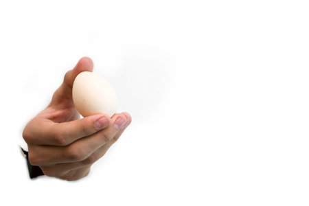 A hand on a white background holds an egg. High quality photoの写真素材