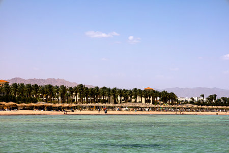 A beautiful beach scene featuring tall palm trees in the distant background alongside a tranquil body of water nestled in the foregroundの写真素材