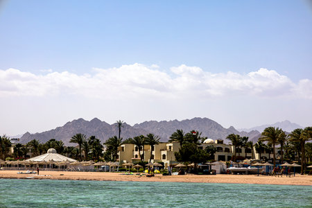 A beautiful beach featuring tall palm trees with a stunning range of mountains situated in the background, creating a picturesque viewの写真素材