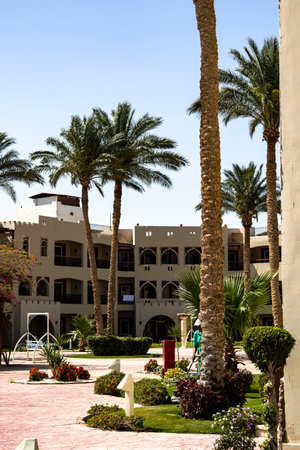 There is a picturesque row of palm trees lined up beautifully in front of a stunning building, adding to the urban landscapes charmの写真素材