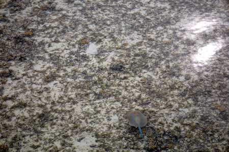 This image features a closeup view of a large pile of various rocks partially in the water, creating an intriguing sceneの写真素材