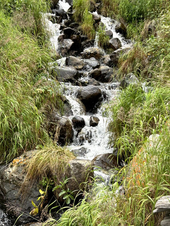 A small yet picturesque waterfall is beautifully surrounded by various rocks and lush green grass in...