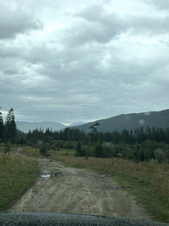 A rustic dirt road gently winding its way through a lush, grassy field, with majestic mountains rising prominently in the distant backgroundの写真素材