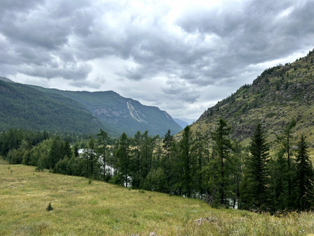 A scenic view showcasing a beautiful mountain valley adorned with various trees and lush grass on an overcast, cloudy dayの写真素材