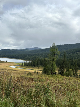 Mountain lake meadow under cloudy sky with pine shore and distant ridges creating tranquil remote retreat atmosphereの写真素材