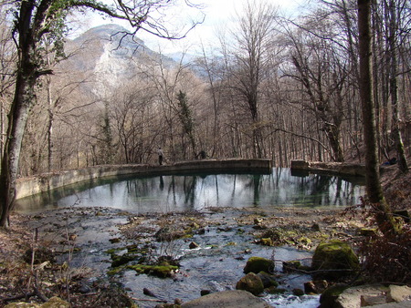Pond in the forestの写真素材