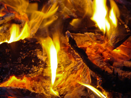 Campfire at night