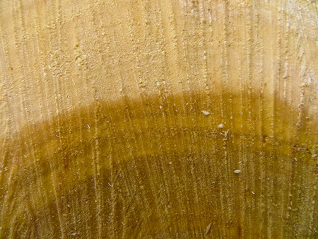 Wooden textureのeditorial素材