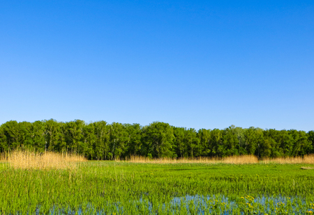 Dnieper marshesの写真素材