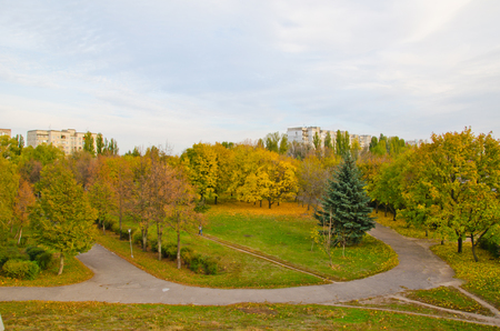Multicolored trees in the city park on autumnの写真素材