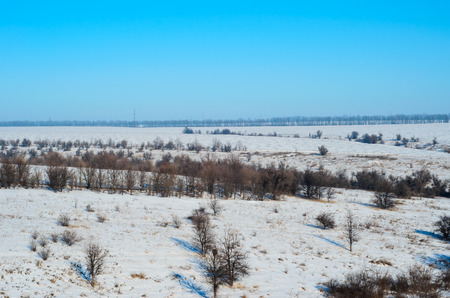 Winter landscape with hills and dry treesの写真素材