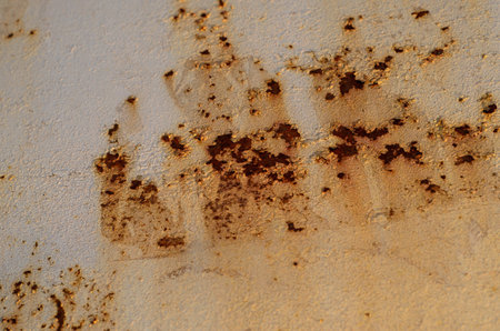 Rustic metal sheet with the old paint