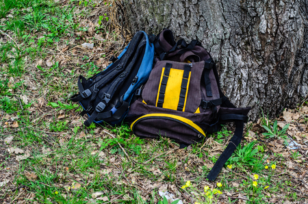 Touristic backpacks under the tree on green grassの写真素材