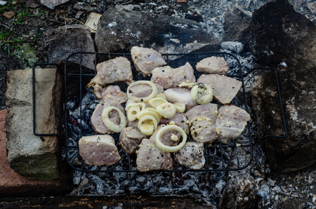 Meat marinated in sauce preparing on a grill. Top viewの写真素材