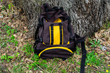 Touristic backpack under the tree on green grassの写真素材