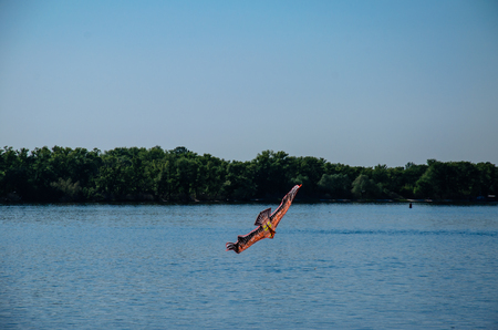 Colored kite in flight over the riverの写真素材
