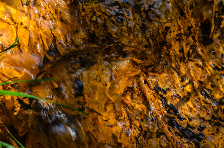 Stream in a forest on spring dayの写真素材