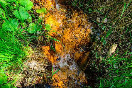 Stream in a forest on spring dayの写真素材