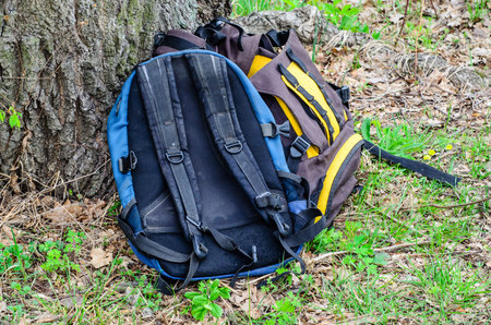 Touristic backpacks under the tree on green grass