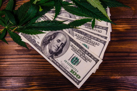 Leaves of the cannabis plant and one hundred dollar bills on rustic wooden table. Top view