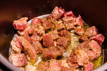 Pork meat preparing in the slow cookerの写真素材